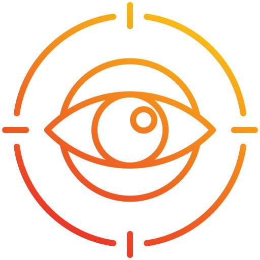 Vision